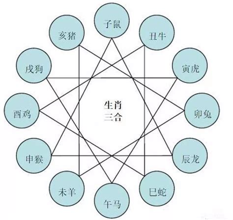 兔六合|兔的三合和六合生肖分别是什么 属兔人适合婚配的属。